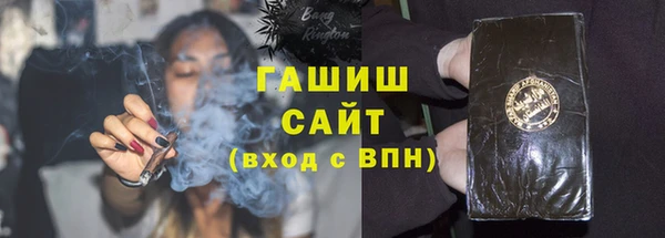 хмурый Алексин