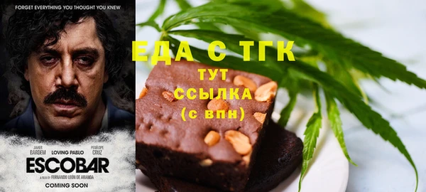хмурый Алексин